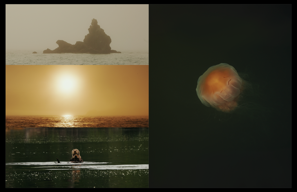 Preorder: The Northern Voyage in Hardcover