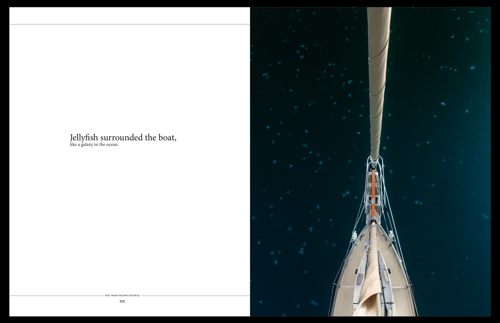 Preorder: The Northern Voyage in Hardcover