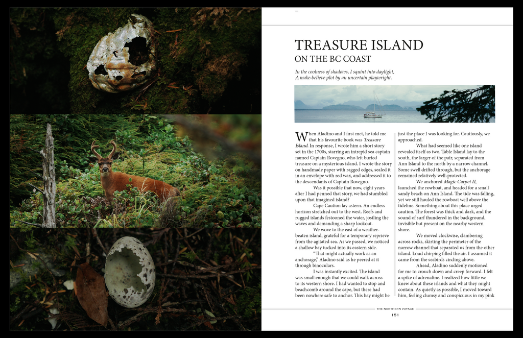 Preorder: The Northern Voyage in Hardcover