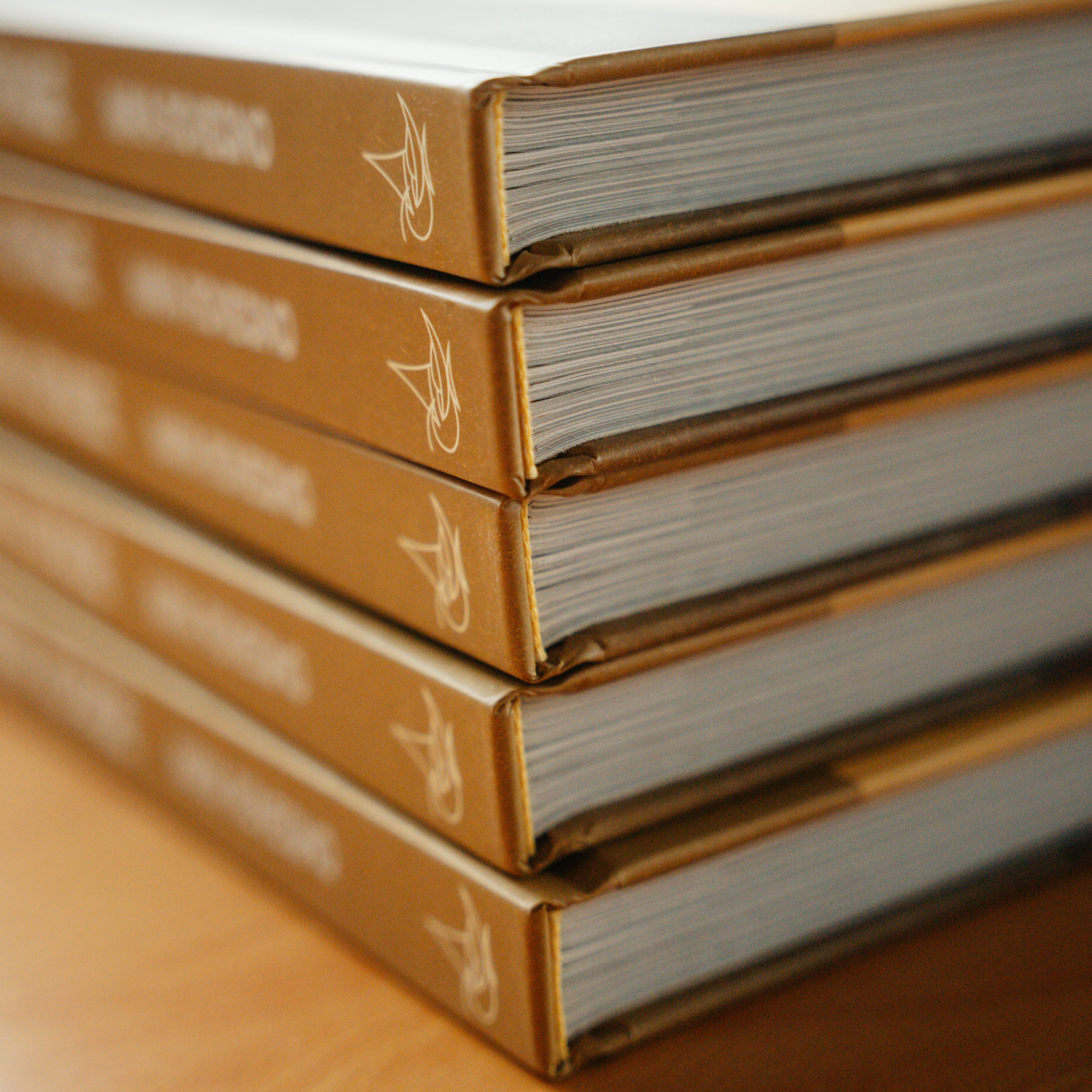 PREORDER: The Northern Voyage – Hardcover